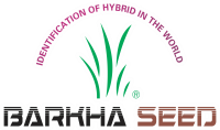 barkha logo
